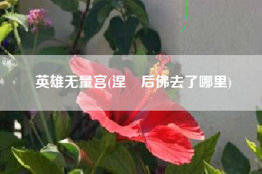 英雄无量宫(涅槃后佛去了哪里)