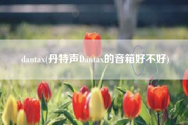 dantax(丹特声Dantax的音箱好不好)