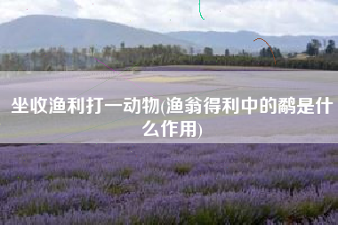 坐收渔利打一动物(渔翁得利中的鹬是什么作用)