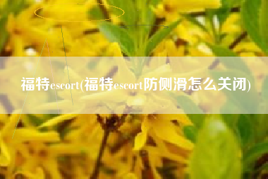 福特escort(福特escort防侧滑怎么关闭)