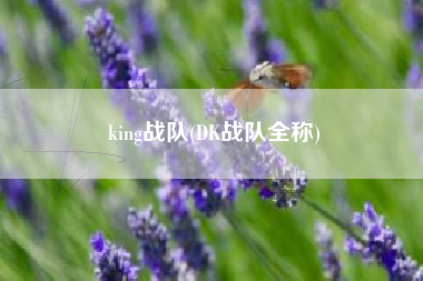 king战队(DK战队全称)