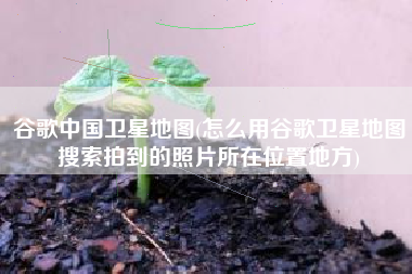 谷歌中国卫星地图(怎么用谷歌卫星地图搜索拍到的照片所在位置地方)