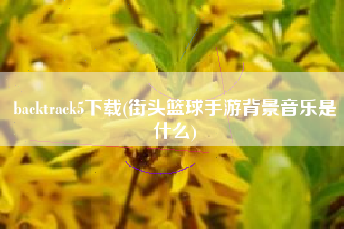 backtrack5下载(街头篮球手游背景音乐是什么)