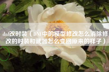 dnf改时装（DNF中的模型修改怎么消除修改的时装和武器怎么变回原来的样子）