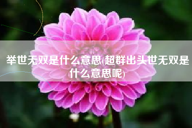 举世无双是什么意思(超群出头世无双是什么意思呢)