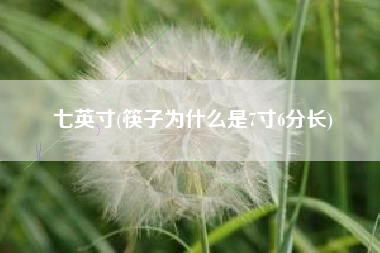 七英寸(筷子为什么是7寸6分长)