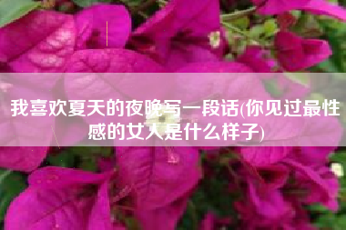 我喜欢夏天的夜晚写一段话(你见过最性感的女人是什么样子)