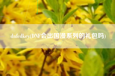 dnfcdkey(DNF会出国漫系列的礼包吗)