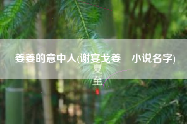 姜姜的意中人(谢宴戈姜琇小说名字)