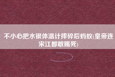 不小心把水银体温计摔碎后蚂蚁(皇帝连宋江都敢赐死)