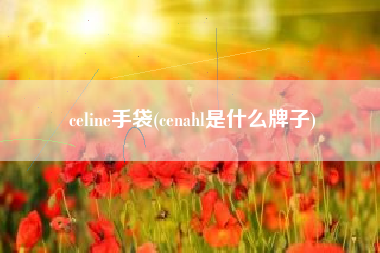 celine手袋(cenahl是什么牌子)