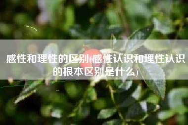 感性和理性的区别(感性认识和理性认识的根本区别是什么)