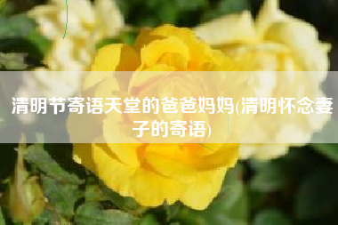 清明节寄语天堂的爸爸妈妈(清明怀念妻子的寄语)