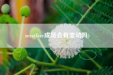 zera(faze成员会有变动吗)