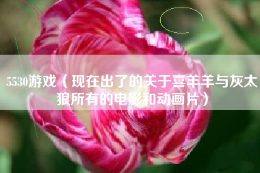 5530游戏（现在出了的关于喜羊羊与灰太狼所有的电影和动画片）