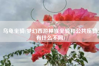 乌龟坐骑(梦幻西游种族坐骑和公共座骑有什么不同)