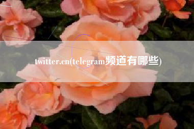 twitter.cn(telegram频道有哪些)