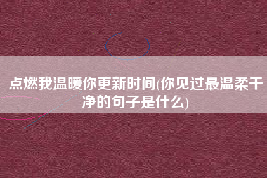 点燃我温暖你更新时间(你见过最温柔干净的句子是什么)