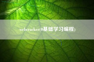 webcracker(0基础学习编程)