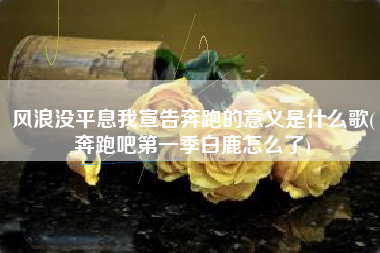 风浪没平息我宣告奔跑的意义是什么歌(奔跑吧第一季白鹿怎么了)