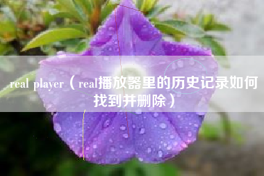 real player（real播放器里的历史记录如何找到并删除）