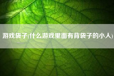 游戏袋子(什么游戏里面有背袋子的小人)