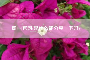 淘800官网(是什么能分享一下吗)