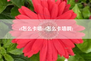 cf怎么卡墙(cf怎么卡墙啊)