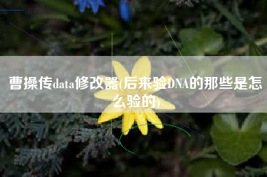 曹操传data修改器(后来验DNA的那些是怎么验的)