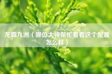 龙霸九洲（哪位大神帮忙看看这个配置怎么样）