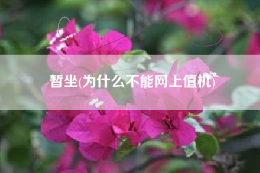 暂坐(为什么不能网上值机)