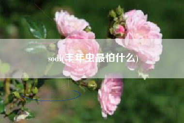 sodl(丰年虫最怕什么)