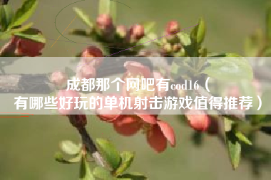 成都那个网吧有cod16（
有哪些好玩的单机射击游戏值得推荐）