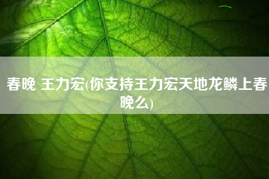 春晚 王力宏(你支持王力宏天地龙鳞上春晚么)