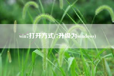 win7打开方式(7升级为windows)