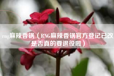 rng麻辣香锅（RNG麻辣香锅官方登记已改是否真的要退役啦）