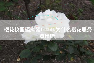 樱花校园模拟器1.038.01(为什么樱花服务器出错)