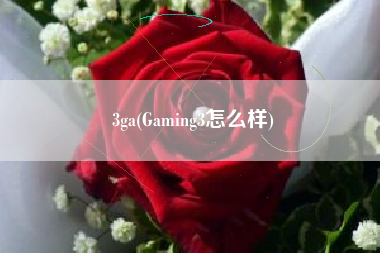 3ga(Gaming3怎么样)