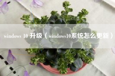 windows 10 升级（windows10系统怎么更新）