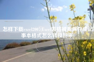 怎样下载excel2007(Excel表格被我保存成记事本格式怎么转换回来)