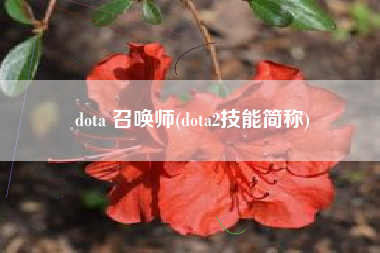 dota 召唤师(dota2技能简称)