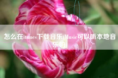 怎么在itunes下载音乐(Music可以听本地音乐吗)