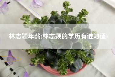 林志颖年龄(林志颖的学历有谁知道)