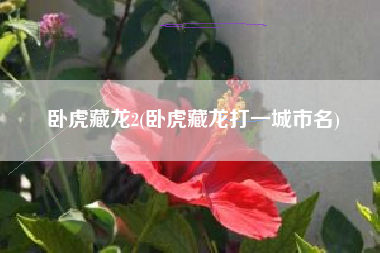 卧虎藏龙2(卧虎藏龙打一城市名)