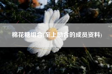 棉花糖组合(至上励合的成员资料)