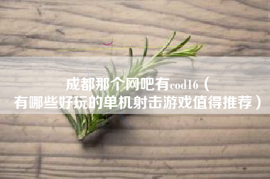 成都那个网吧有cod16（
有哪些好玩的单机射击游戏值得推荐）