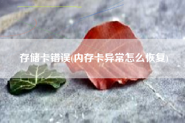 存储卡错误(内存卡异常怎么恢复)