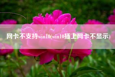 网卡不支持win10(win10插上网卡不显示)