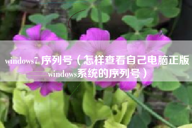 windows7 序列号（怎样查看自己电脑正版windows系统的序列号）