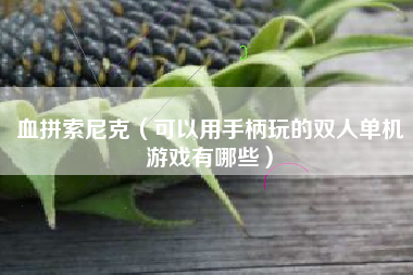 血拼索尼克（可以用手柄玩的双人单机游戏有哪些）